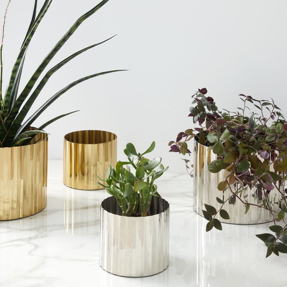 Pure Foundations Metal Tabletop Planters West Elm