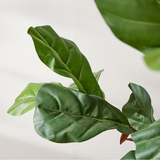 Faux Potted Fiddle Leaf Fig Trees West Elm