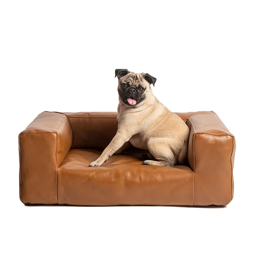 Blvd Dog Bed West Elm