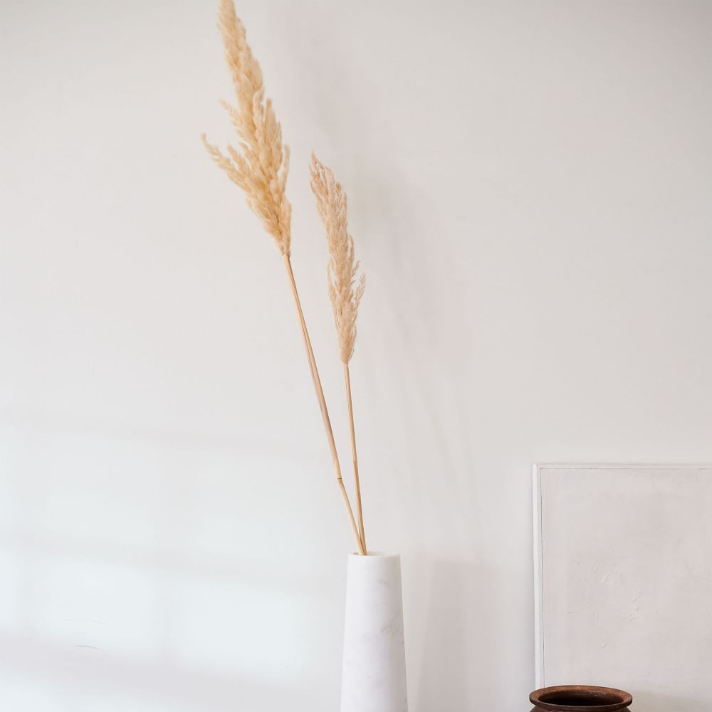 Dried Hardy Pampas Grass | West Elm