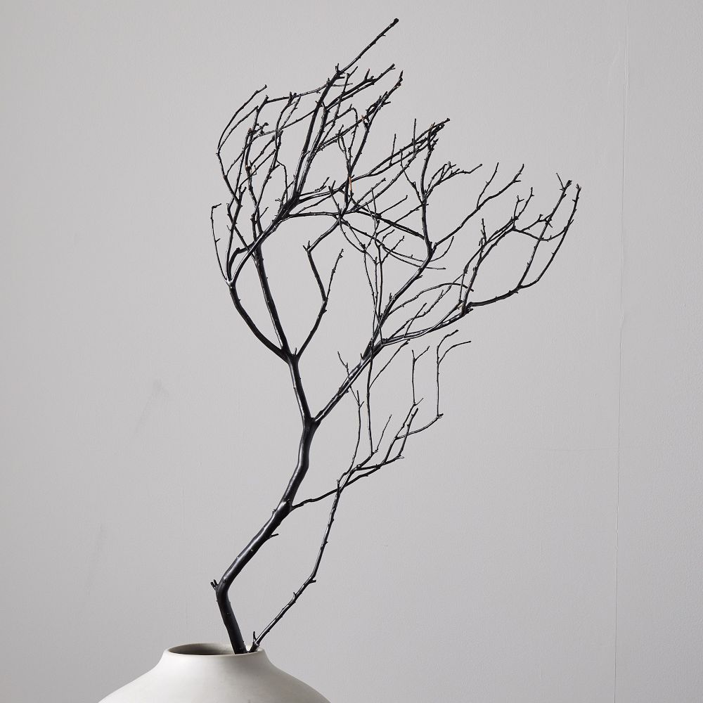 Dried Spooky Branch | West Elm