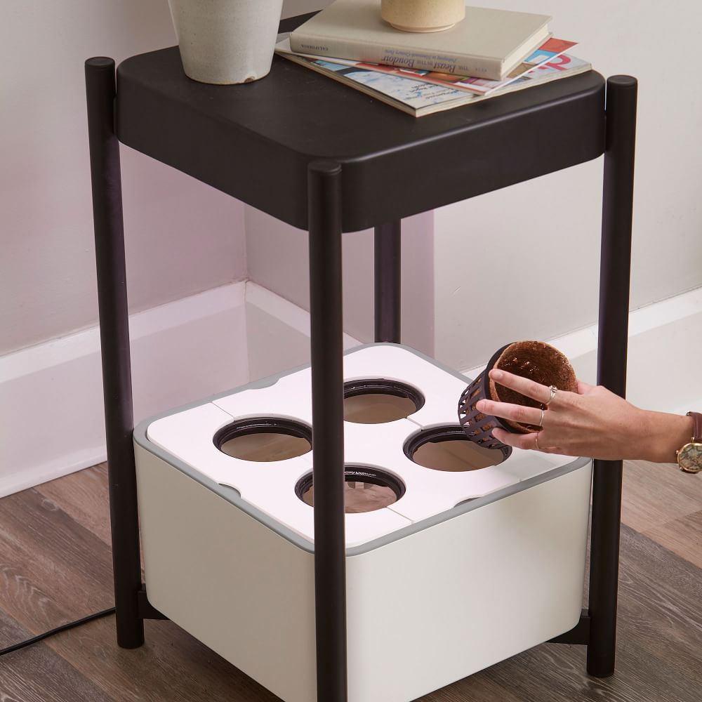 MiracleGro® Twelve™ Indoor Growing System West Elm