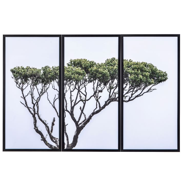 Tree of Life Framed Wall Art West Elm