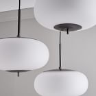 bolete ceiling light