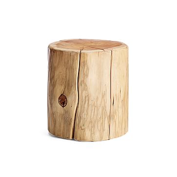 Natural Tree-Stump Side Table