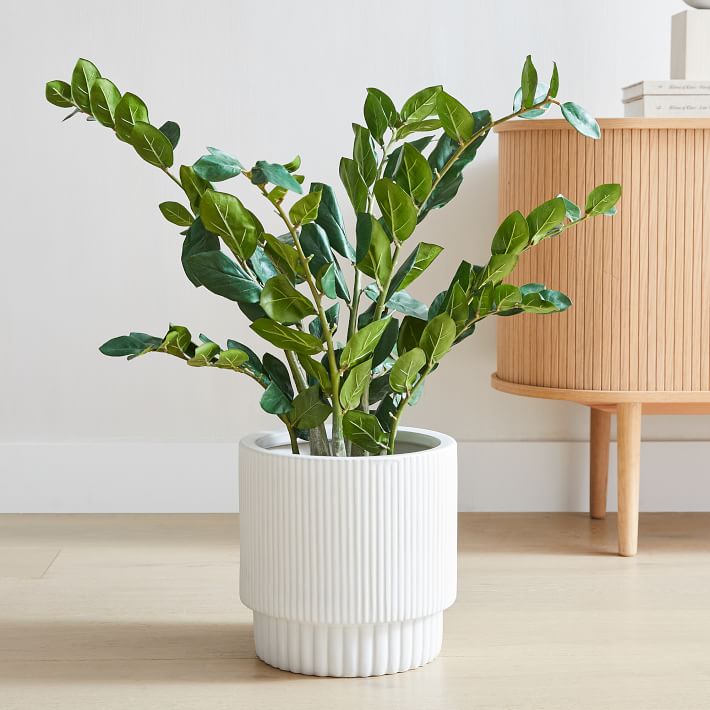 Faux Potted ZZ Plant | West Elm