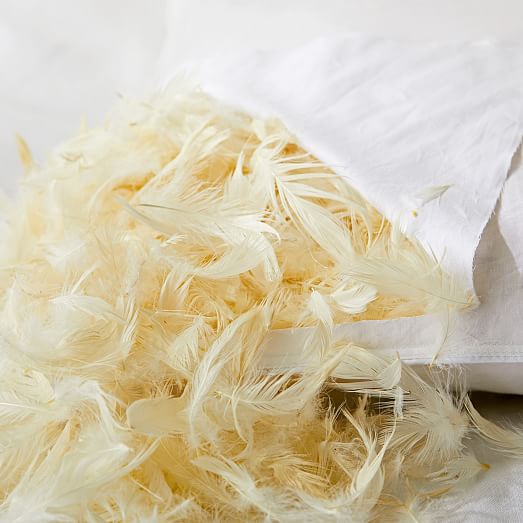 Feather Pillow Insert West Elm
