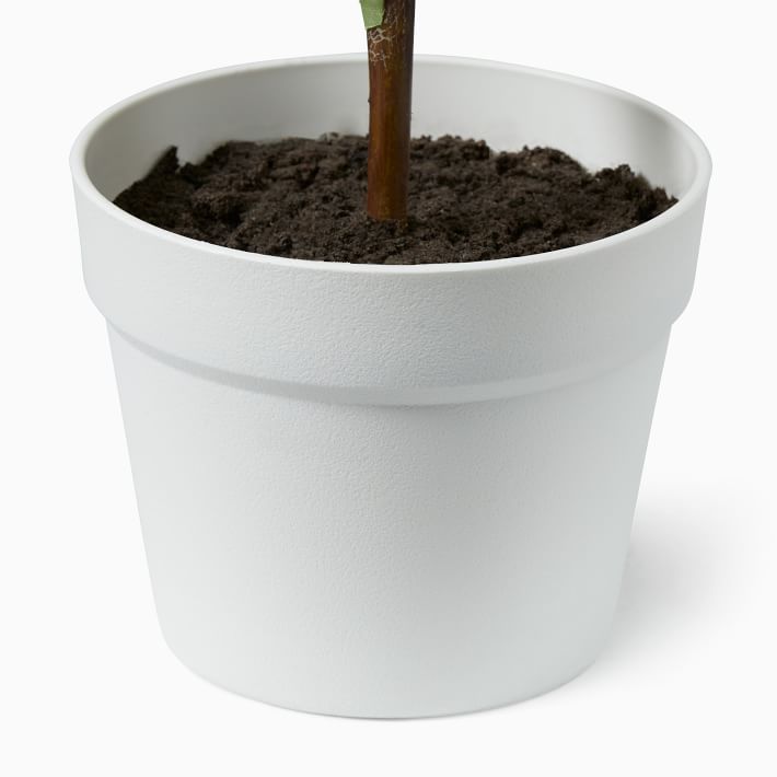 Faux Potted Fiddle Leaf Fig Trees West Elm