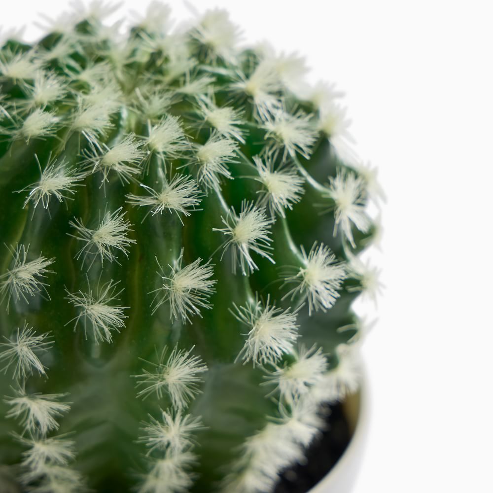 Faux Potted Powderpuff Cactus Plant West Elm