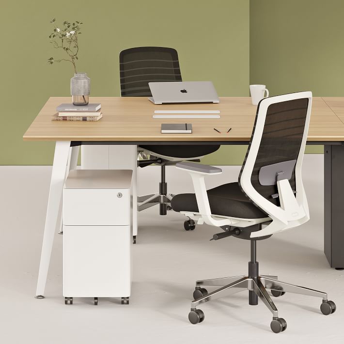 Branch Small Filing West Elm