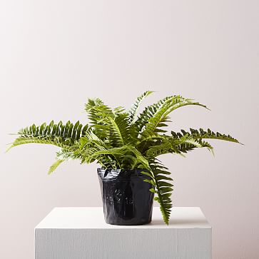 Faux Botanicals, Potted Fern