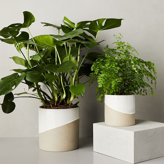 Half-Dipped Ceramic Planters | West Elm