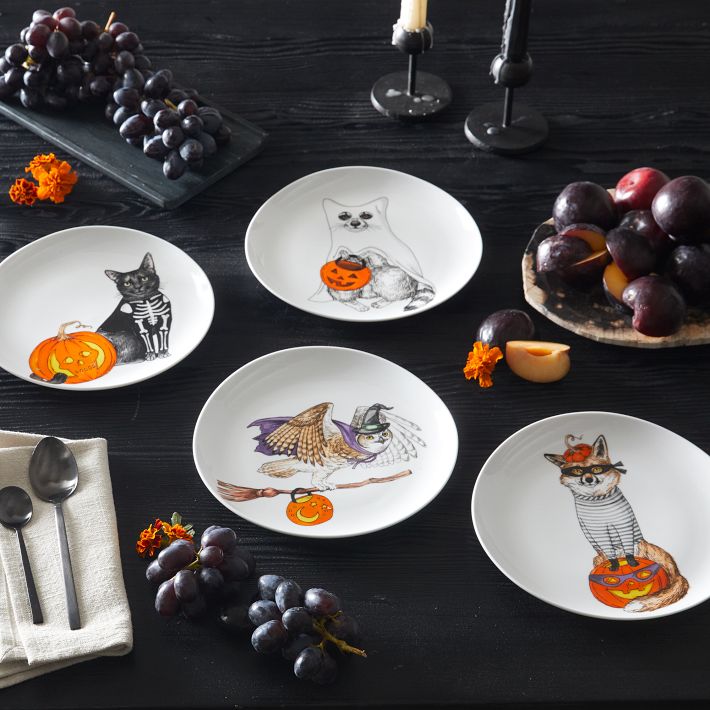 Dapper Animal Halloween Salad Plates West Elm