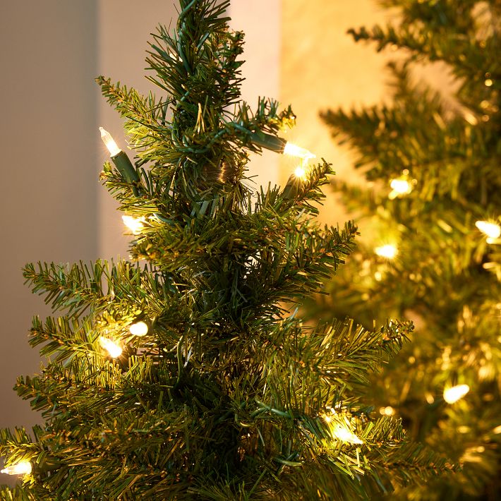 Potted Hard Needle Christmas Trees (Set of 2) West Elm