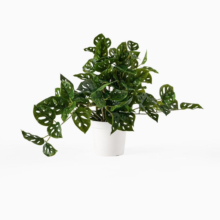 Faux Potted Trailing Monstera Plant West Elm