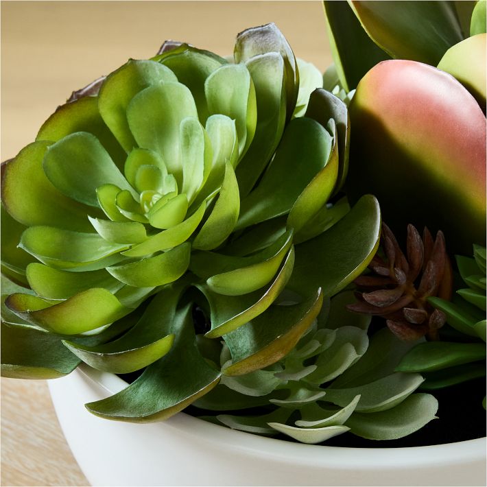 Faux Potted Succulent Arrangement w/ Planter West Elm