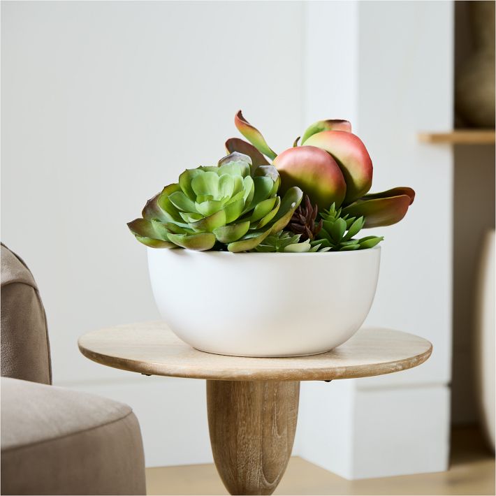 Faux Potted Succulent Arrangement w/ Planter West Elm