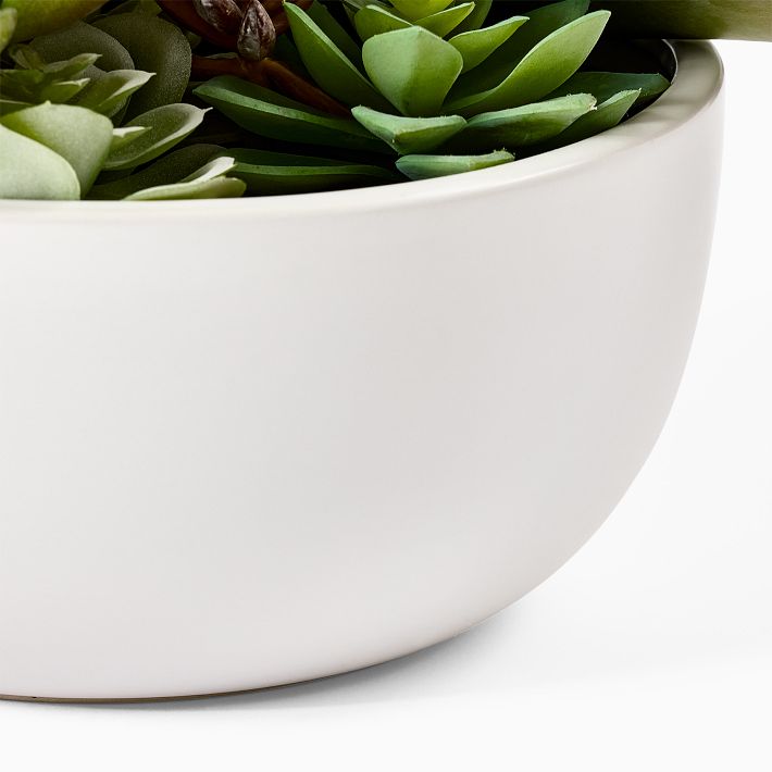 Faux Potted Succulent Arrangement w/ Planter West Elm