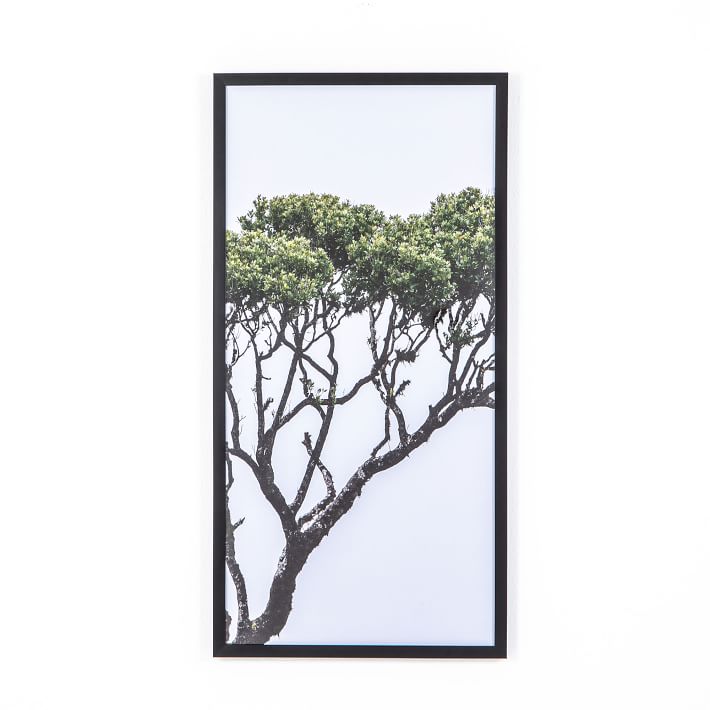 Tree of Life Framed Wall Art West Elm