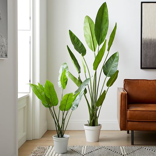 2 Pack | 6ft Faux Potted Bird of Paradise Plant main image 0