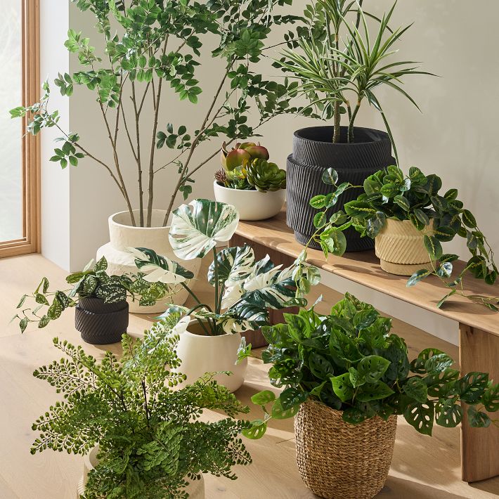 Asher Ceramic Planters West Elm