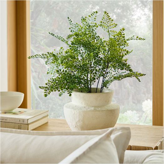 Faux Potted Maidenhair Fern Plant West Elm