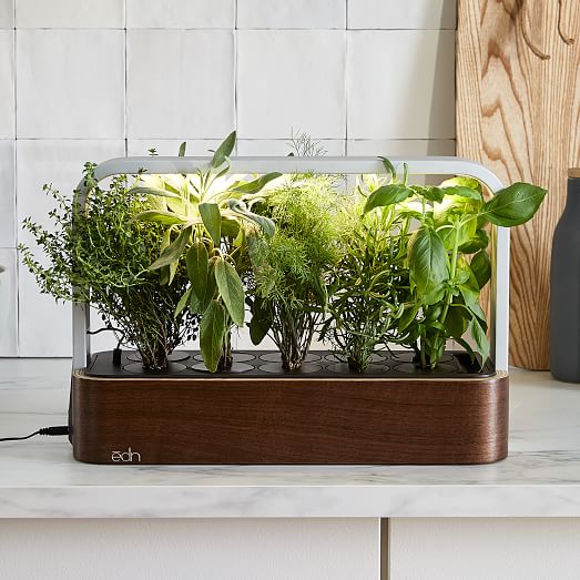 dn Indoor SmartGarden West Elm