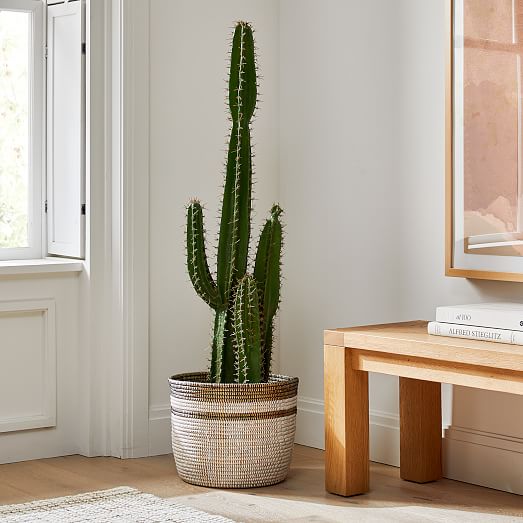 Colorblocked Basket Floor Planters West Elm
