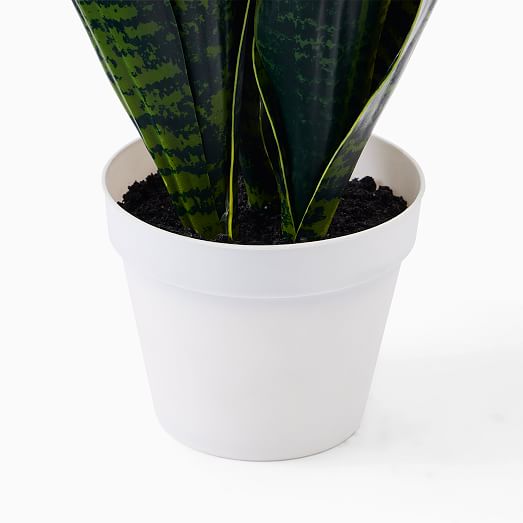 Faux Potted Snake Plant West Elm