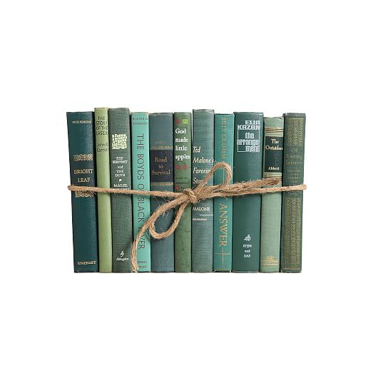 Decorative Book Bundles West Elm