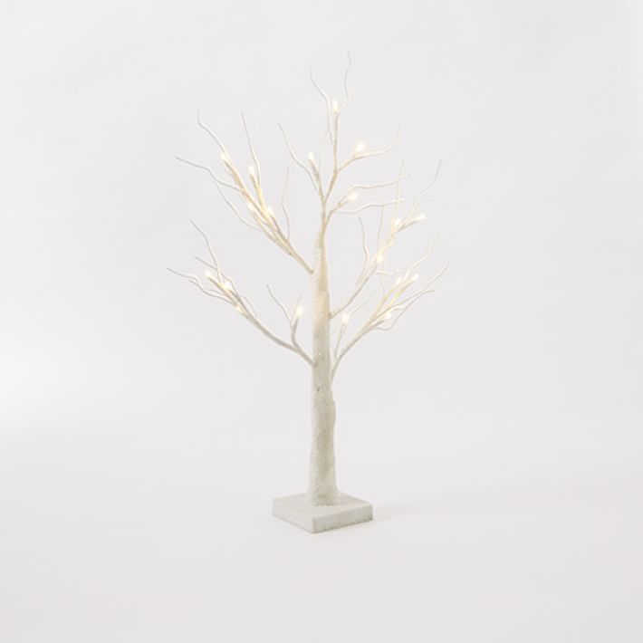 LED Tabletop Trees West Elm