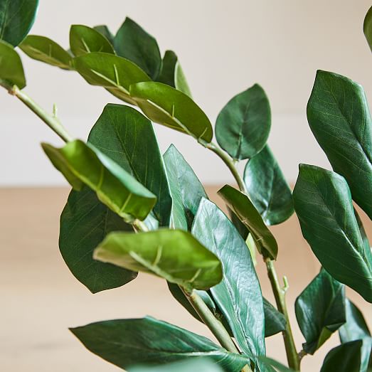 Faux Potted ZZ Plant West Elm