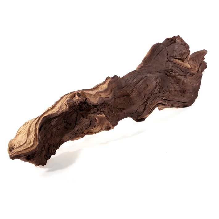 Mopani Wood Branch West Elm