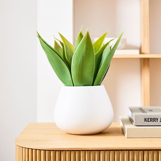 Faux Potted Agave Plant West Elm