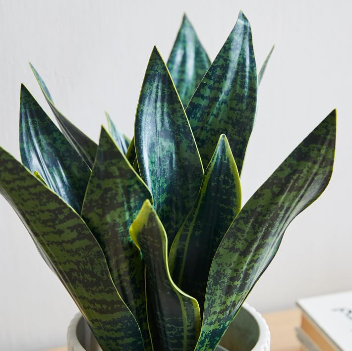 Faux Potted Snake Plant West Elm