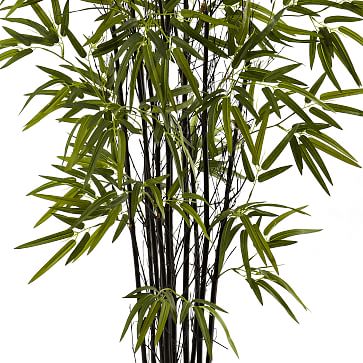 Faux Potted Bamboo Tree | West Elm