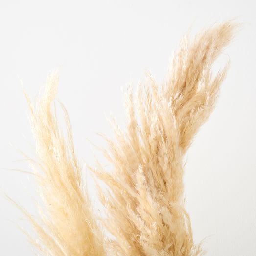 Faux Pampas Grass - Set of 3 | West Elm