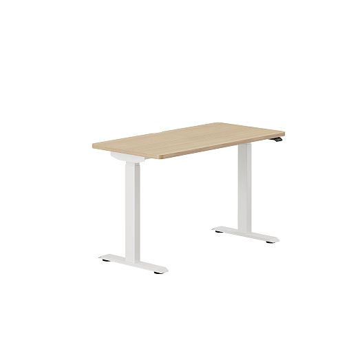 Branch Duo Standing Desk | West Elm