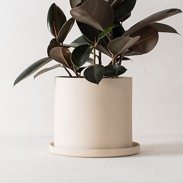 Convivial Minimal Raw Stoneware Planters | West Elm