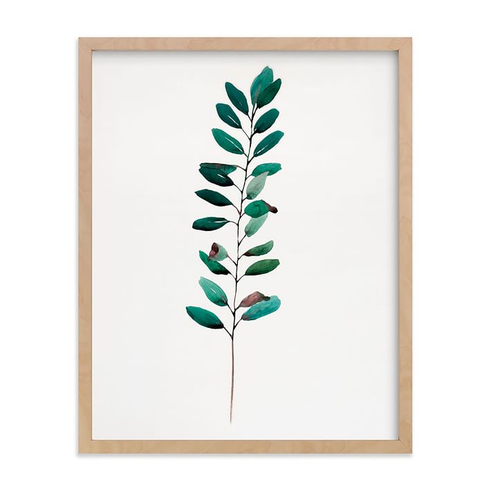 Ruscus, Curry Tree & Magnolia Framed Wall Art by Minted for West Elm ...