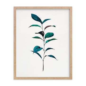 Ruscus, Curry Tree & Magnolia Framed Wall Art by Minted for West Elm ...