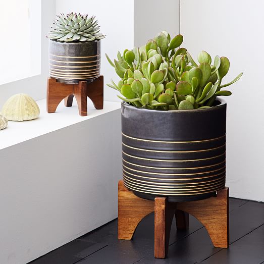 MidCentury Turned Wood Leg Planters Gold Stripe West Elm