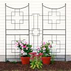 Square Iron Trellis | West Elm