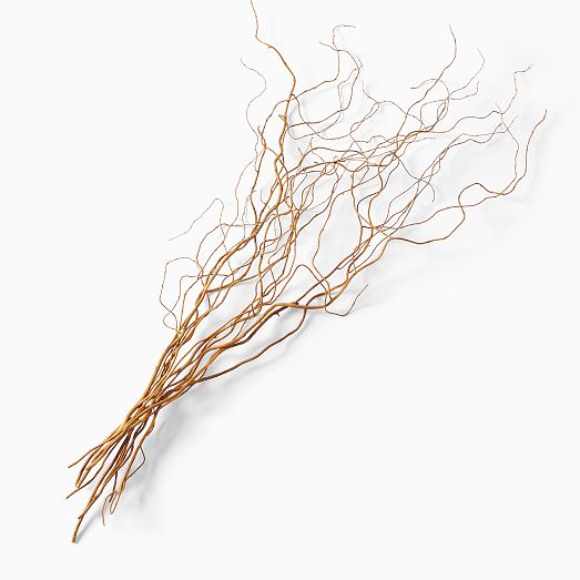 Dried Curly Willow Branches (Set of 12) West Elm