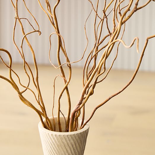 Dried Curly Willow Branches (Set of 12) West Elm