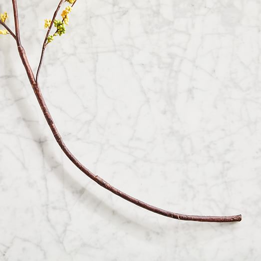 Faux Berry Branch | West Elm