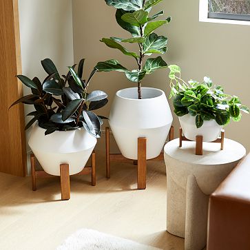 Ilya Turned Wood Planters | West Elm