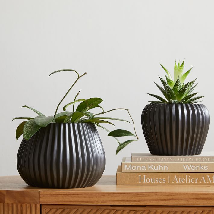 Organic Ceramic Tabletop Planters