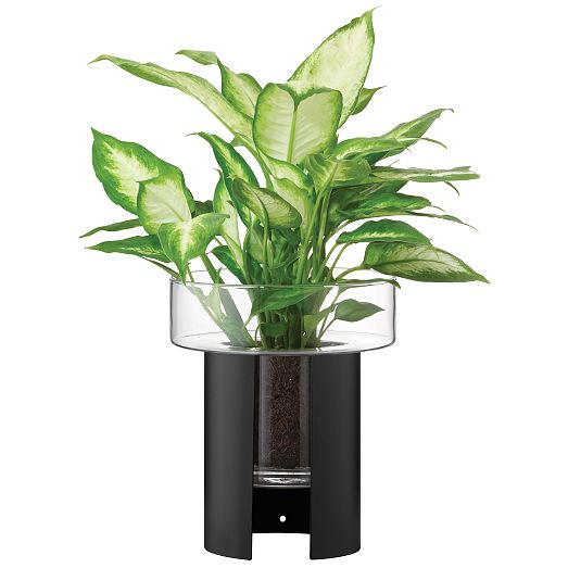 Terrazza Glass Planter | West Elm