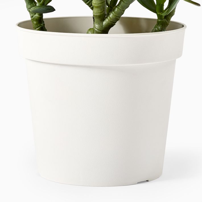 Faux Potted Jade Plant West Elm